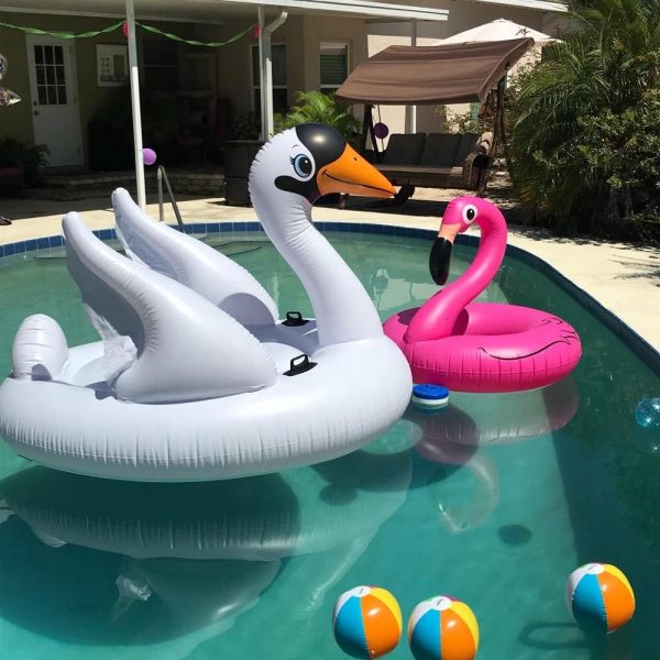 Inflatable Swan and Flamingo